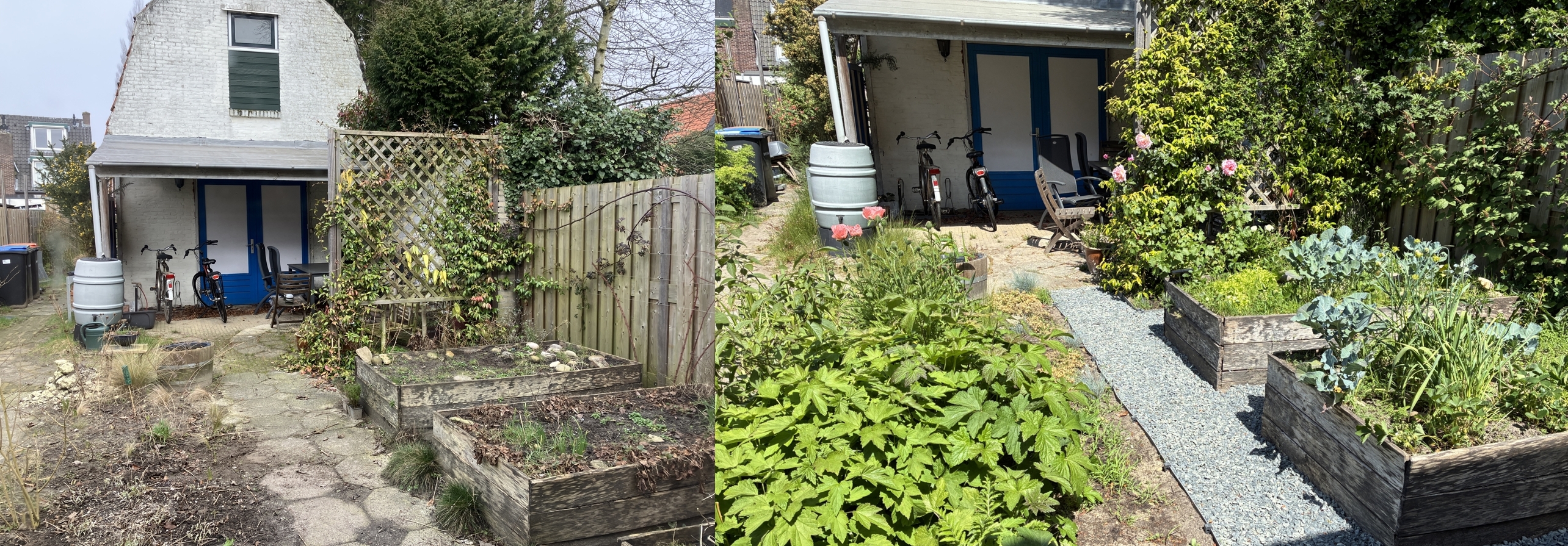 before and after