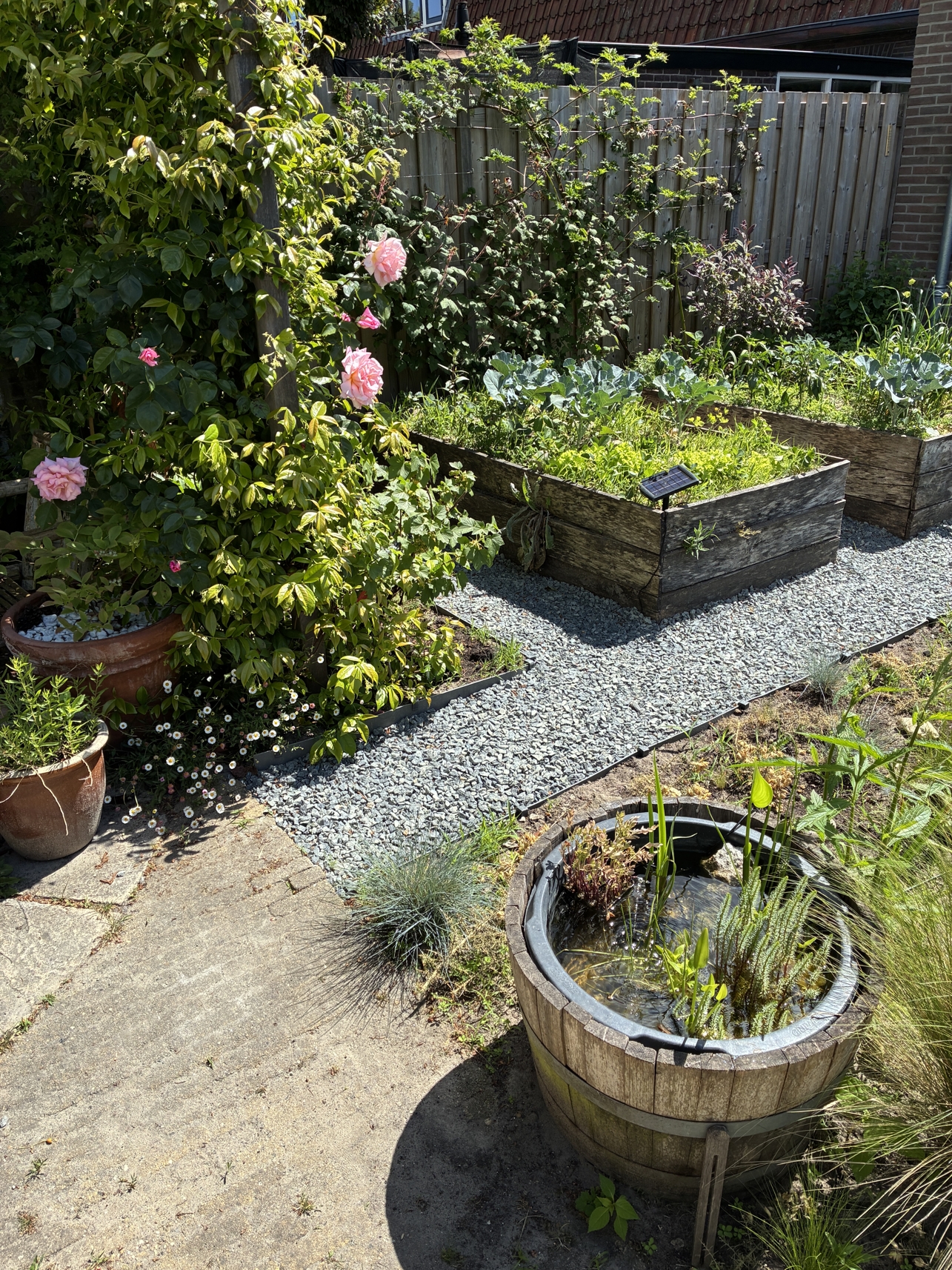 beautiful garden