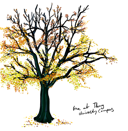 Drawing Tree TU