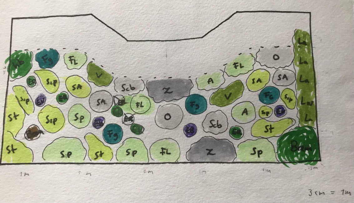 Rough Planting Plan