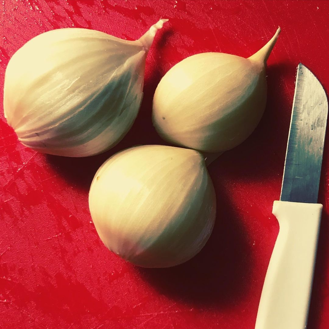 elephan garlic cloves