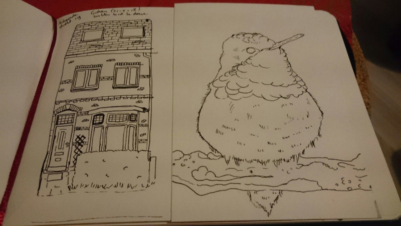 House and Hummingbird pen drawing