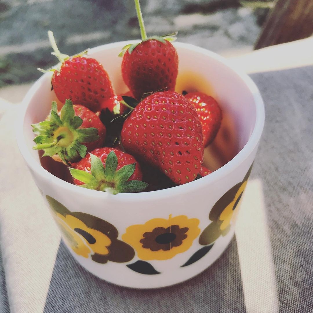 Strawberries first harvest