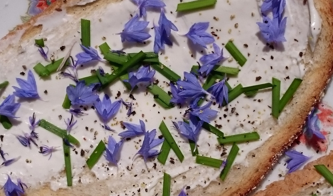 toast with cream cheese chives and cornflower